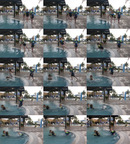 Collection_web