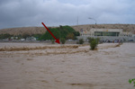 Raininmuscatfotobyeyhabhajj