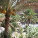 Wadi Ghul