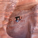 Petra
