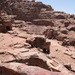 Petra