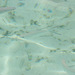 Stranden