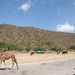 Wadi Dharbat