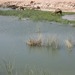 Khor Rouri 