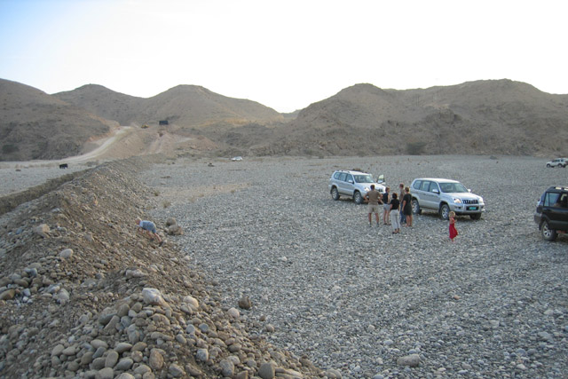Img 0181